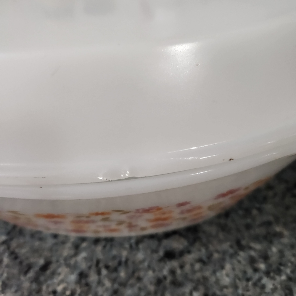 Arcopal France Floral Scaniavintahe oval glass 12 inches